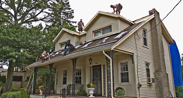 Best Roof Gutter Cleaning  in Marble Hill, MO